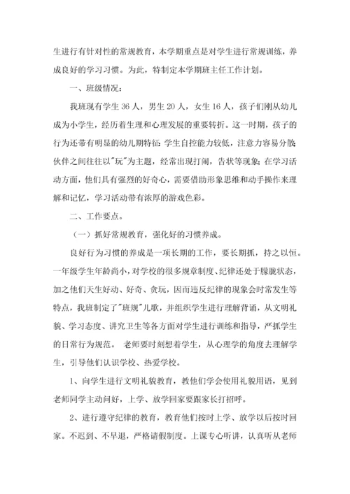 精小学一年级班主任工作计划11篇.docx