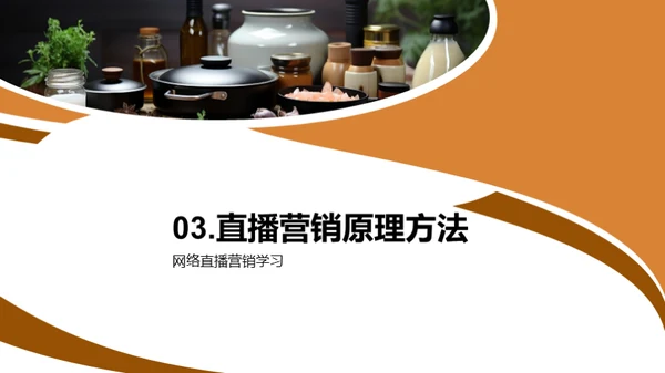 双十一网络直播销售策略