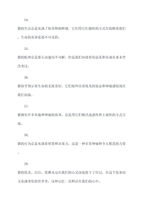 老舍写的课文猫好词好句