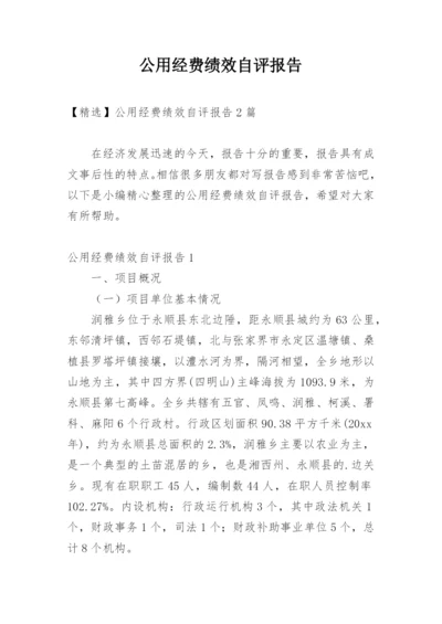 公用经费绩效自评报告.docx