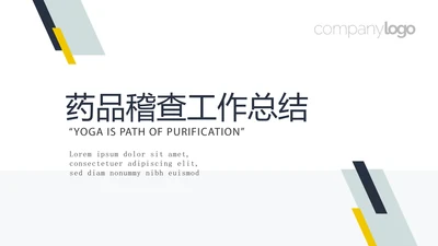 药品稽查工作总结动态PPT