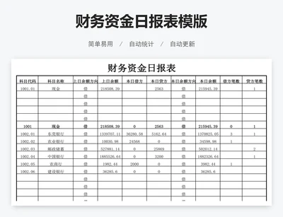 财务资金日报表模版