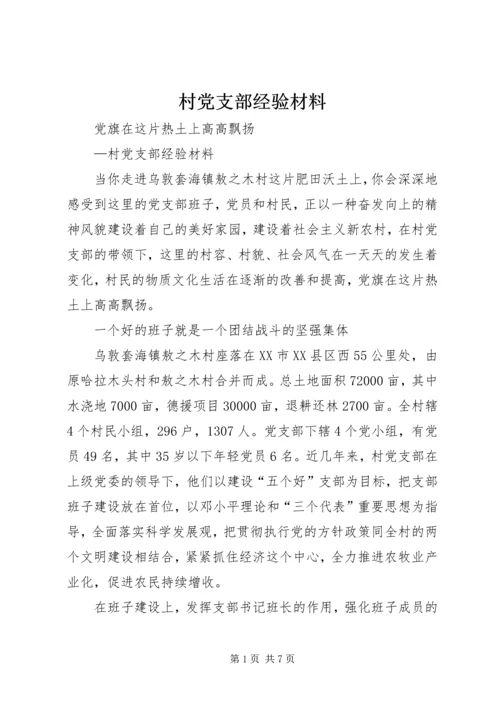 村党支部经验材料 (5).docx