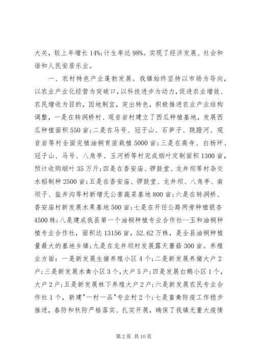 乡镇政府工作总结1.docx