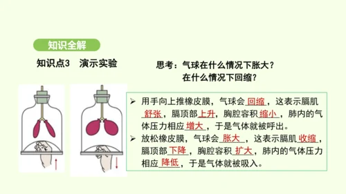 第四单元-第三章-第二节-发生在肺内的气体交换（第1课时）课件-2024-2025学年七年级生物下学