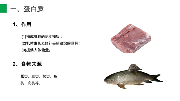 营养学营养物质研究初高中生物PPT课件