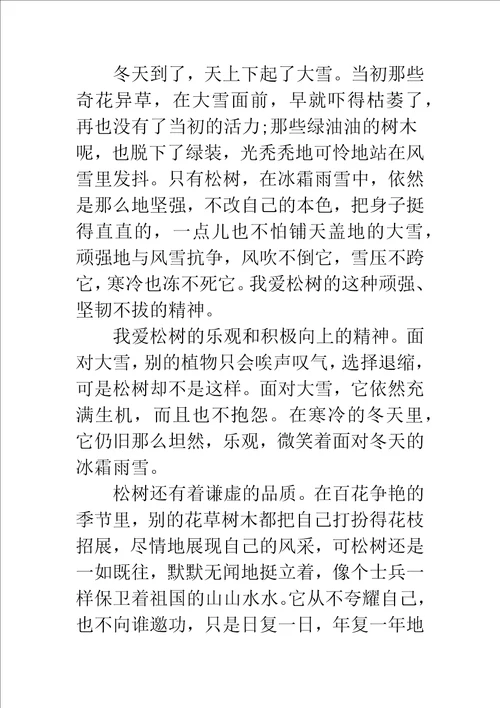 我爱梅花作文700字