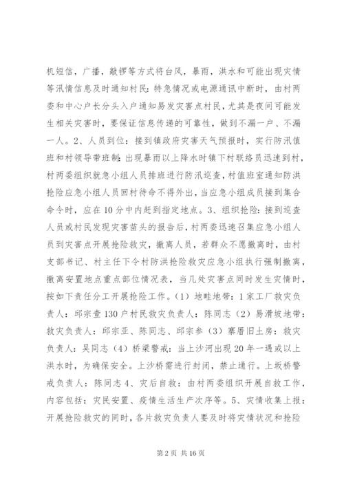村抢险救灾方案.docx