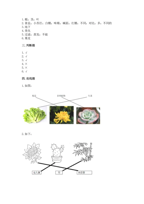 教科版科学一年级上册第一单元《植物》测试卷【b卷】.docx