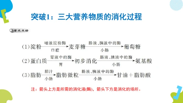 （人教七下复习）第一到三章复习