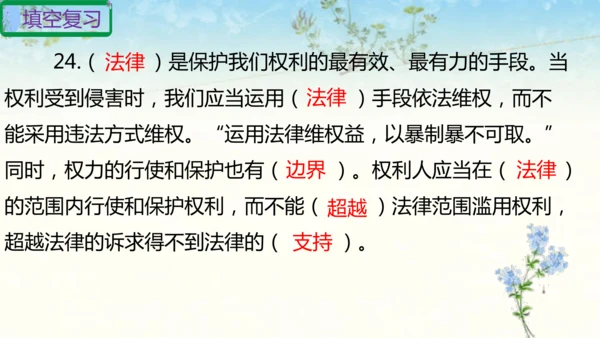 六年级上册道德与法治第四单元法律保护我们健康成长复习课件ptx