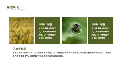 蜜蜂采蜜自然与科学通用PPT模板