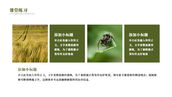 蜜蜂采蜜自然与科学通用PPT模板