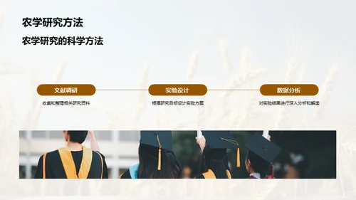 农学研究深度解析