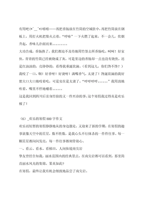 快乐的寒假800字作文集锦15篇作文