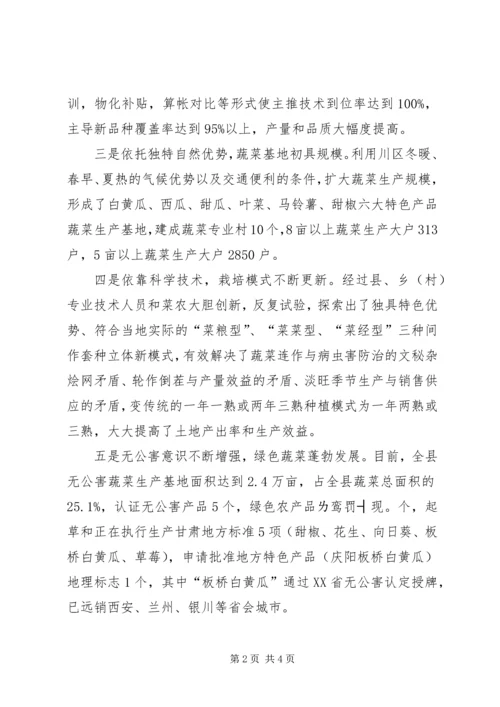 县蔬菜产业开发情况调研报告.docx