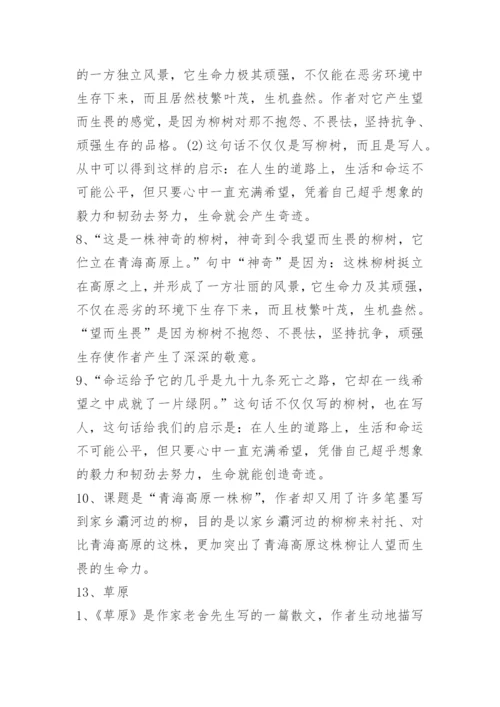 小学六年级语文重点知识点.docx