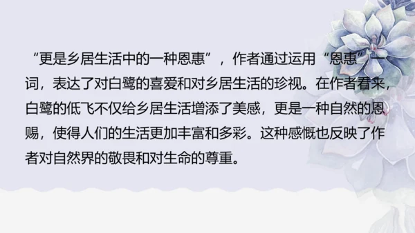 《1 白鹭》课件