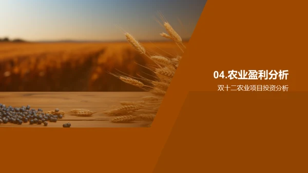 农业电商投资策略