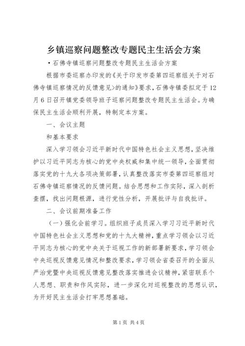 乡镇巡察问题整改专题民主生活会方案.docx