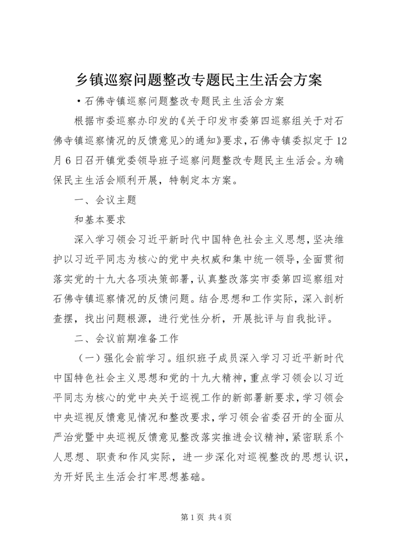 乡镇巡察问题整改专题民主生活会方案.docx
