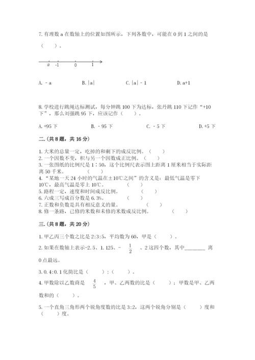 小学毕业班数学检测卷（轻巧夺冠）.docx