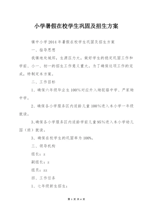 小学暑假在校学生巩固及招生方案.docx