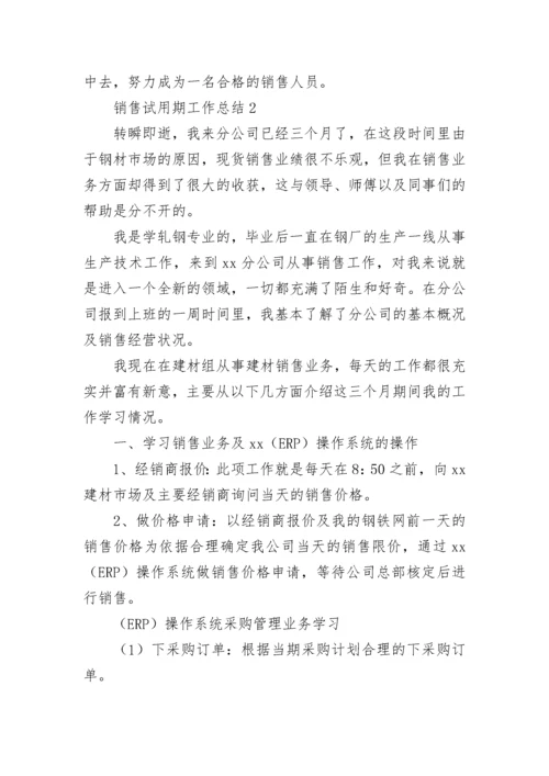 销售试用期工作总结.docx