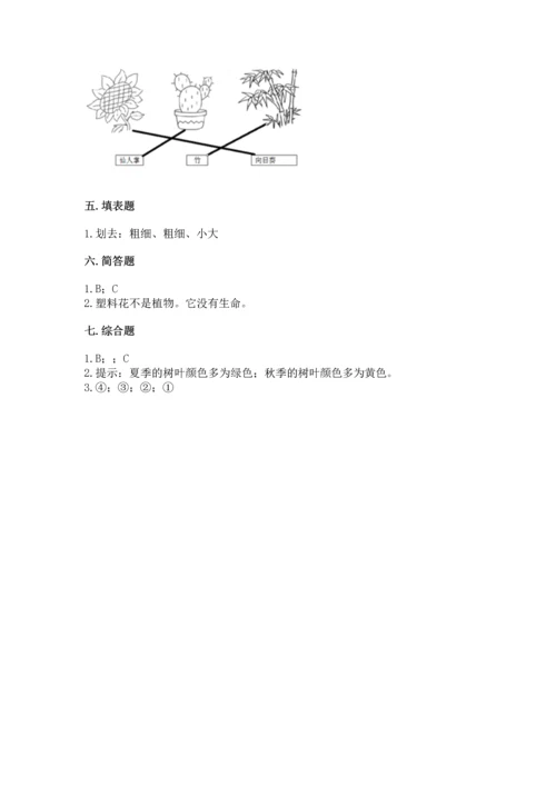 教科版科学一年级上册第一单元《植物》测试卷【名校卷】.docx