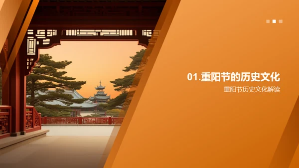 重阳节：尊老与团结