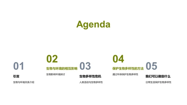 生态环保与生物多样性