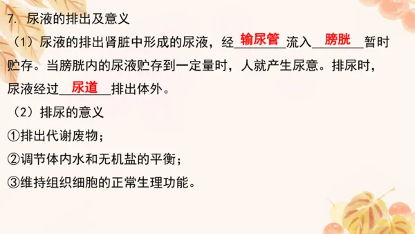 第四单元第五、六章复习课件(共33张PPT)人教版七年级下册