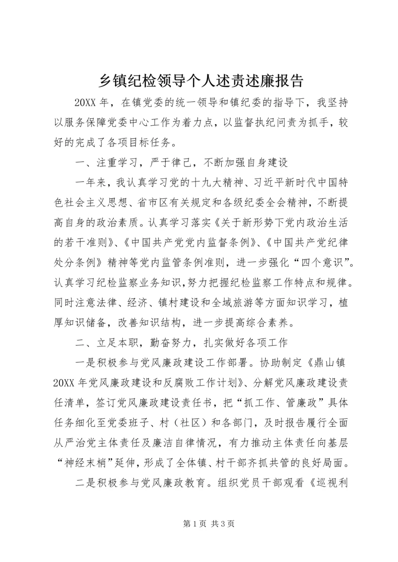 乡镇纪检领导个人述责述廉报告.docx