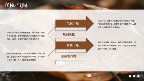 棕色简约商务立秋科普教学课件PPT模板