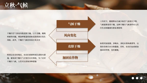 棕色简约商务立秋科普教学课件PPT模板