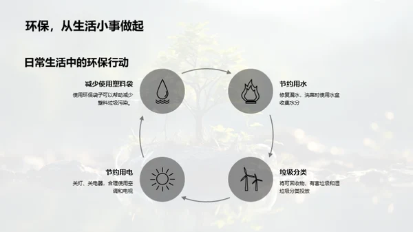 植树环保的探究