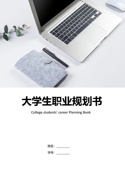 财务管理大学生职业生涯规划书