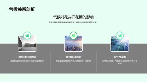 立春气候与赏花攻略PPT模板