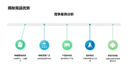 林下经济探析