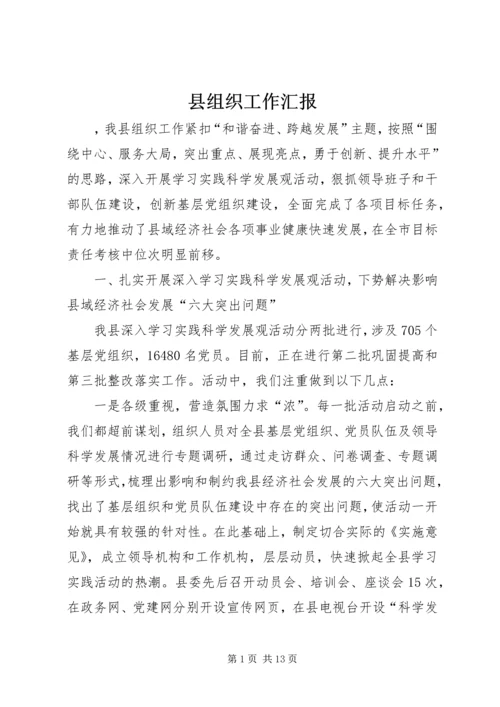 县组织工作汇报 (2).docx