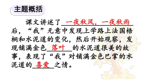 5 铺满金色巴掌的水泥道