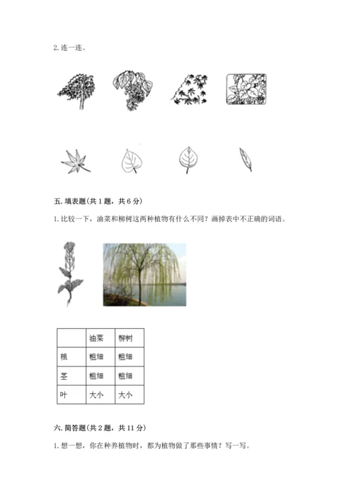 教科版科学一年级上册第一单元《植物》测试卷及1套完整答案.docx