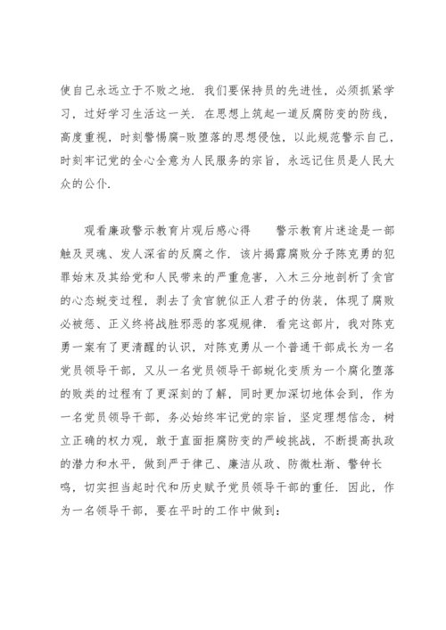 观看廉政警示教育片观后感心得.docx