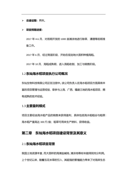 东灿海上水稻项目商业计划书.docx