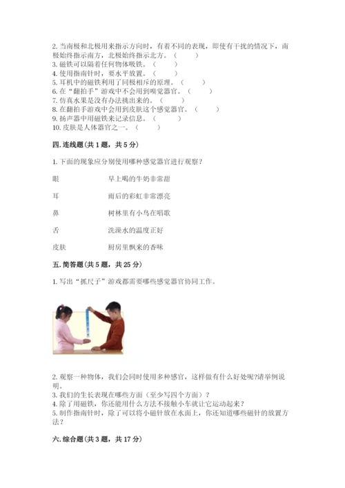 教科版小学科学二年级下册期末测试卷（word）.docx