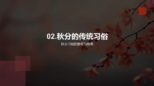 秋分习俗的历史与现代