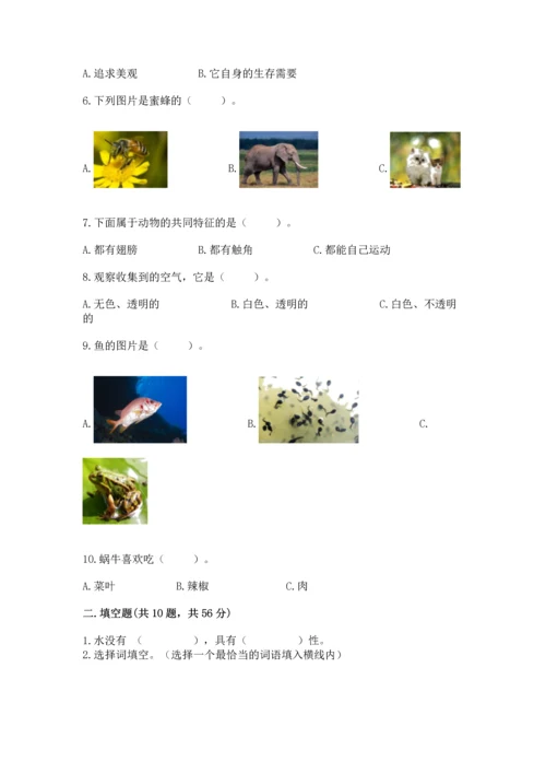 教科版一年级下册科学期末测试卷含下载答案.docx