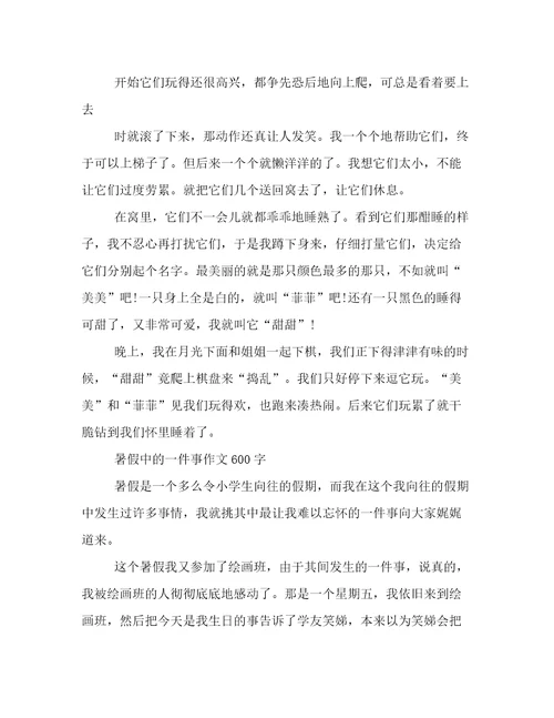 暑假中的一件事作文600字