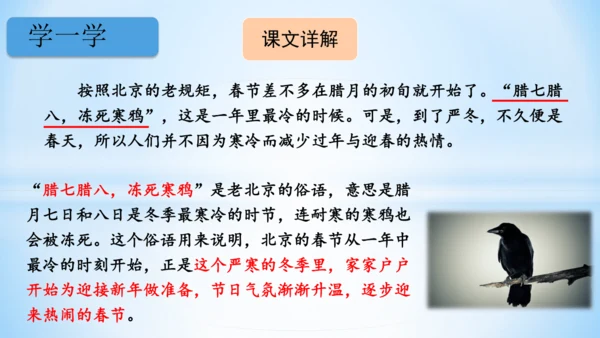1 北京的春节(教学课件)