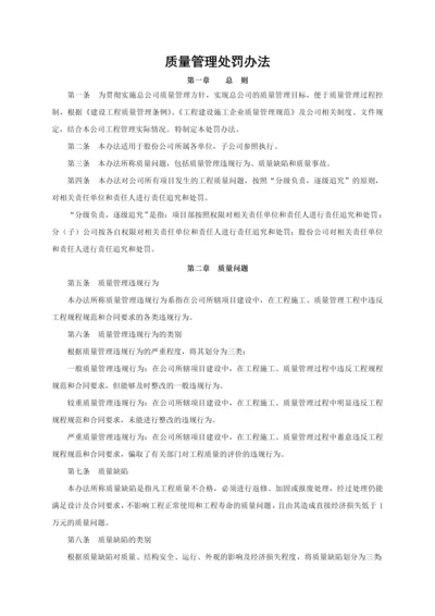 质量管理处罚办法.docx